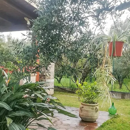 Holiday home Awesome Home In Lamezia Terme With Outdoor Swimming Pool, Wifi And 1 Bedrooms